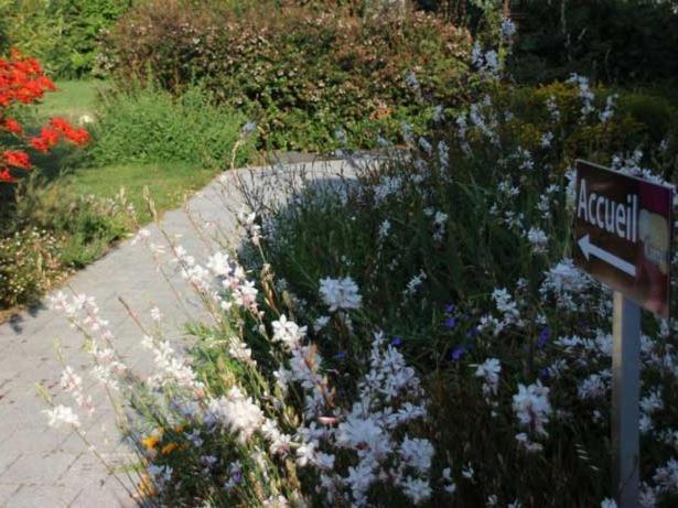 Hotel Au Pre Carre Plumergat Zewnętrze zdjęcie